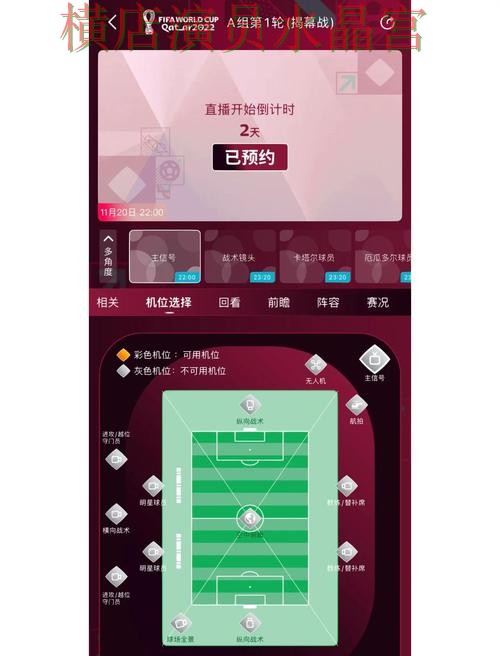 世界杯买球app法国比赛数据怎么看更直观