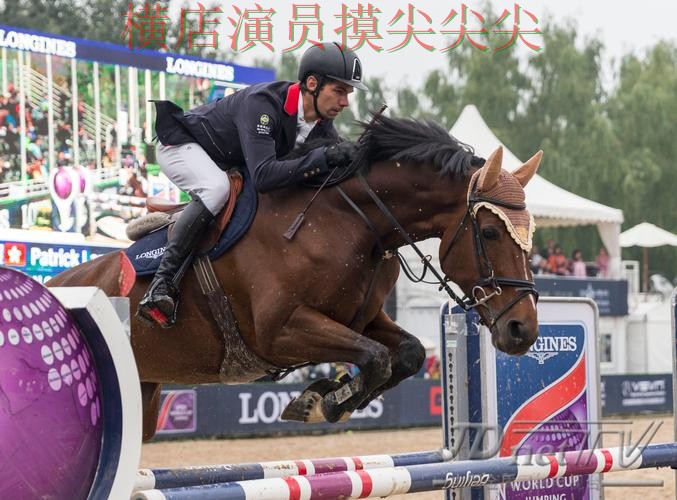 世界杯竞猜网站推荐报告：速度测试+直播与实际体验总结 - 世界杯全球总决赛